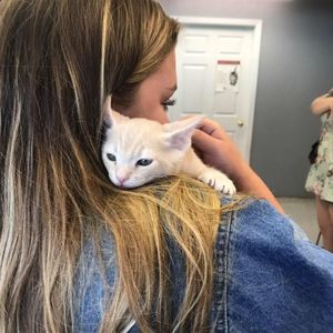 Meet your Posher, Cassidy